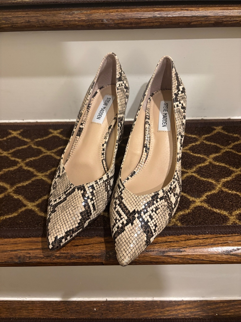 Steve Madden Snake-Print Pointed-Toe Pumps in Beige and Black